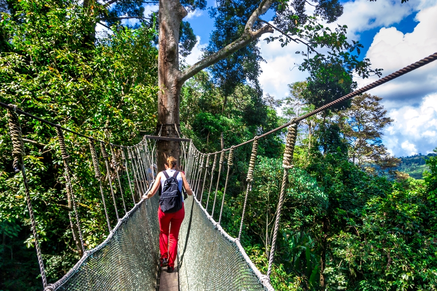 Maleisie Kinabalu Handbrug canopy tour wandelen