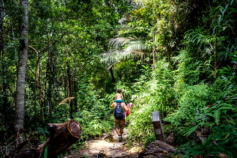 Maleisie Penang National Park jungle