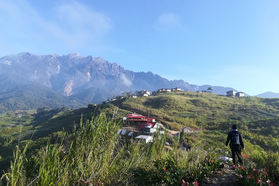 Dag 12: Kota Kinabalu - Kundasang