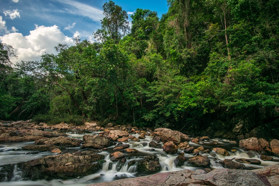 Maleisie Taman Negara Waterval rivier