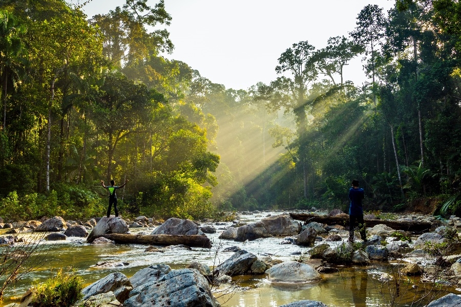 Maleisie Taman Negara