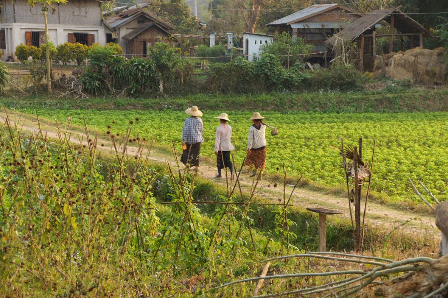Myanmar Hsipaw locals lokale bevolking farm plattelandse leven