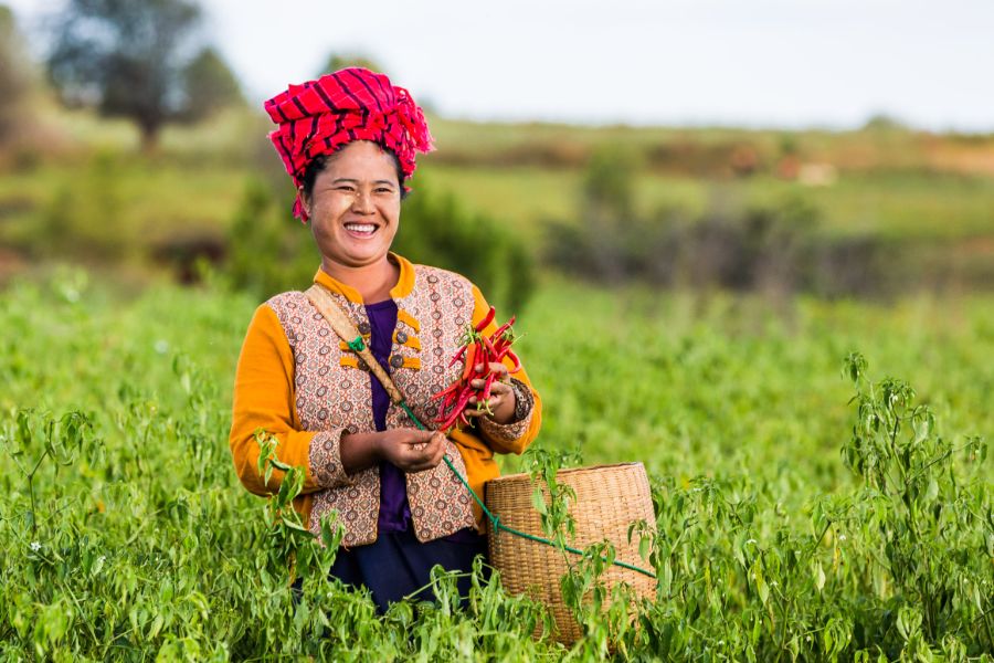 Myanmar Shan State Kalaw woman hill tribe bergstam