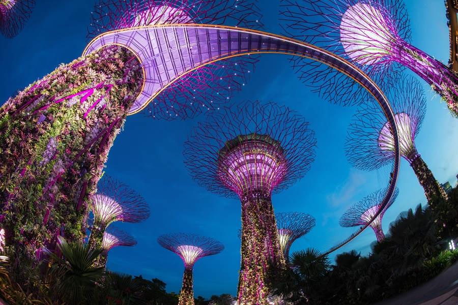 Singapore Gardens by the Bay dansende bomen 2