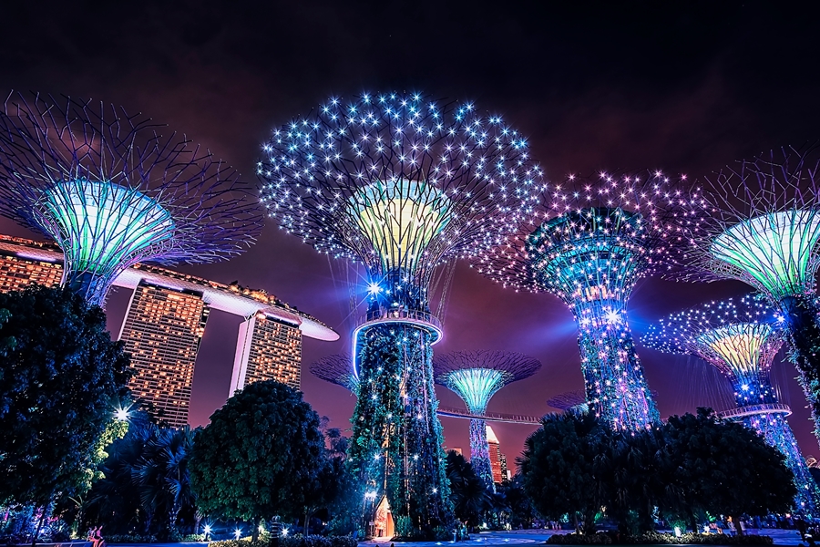 Singapore Gardens by the Bay dansende bomen