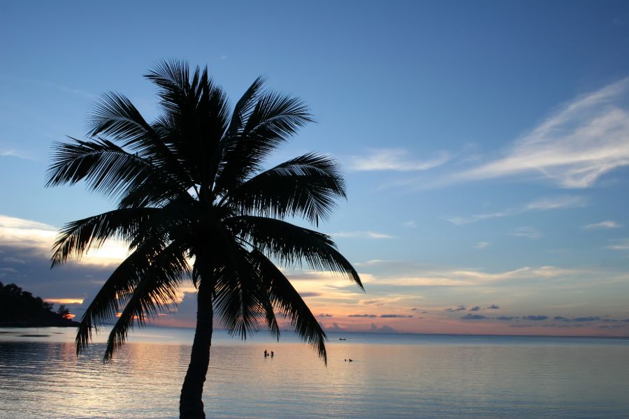 zonsondergang thailand strand palmboom