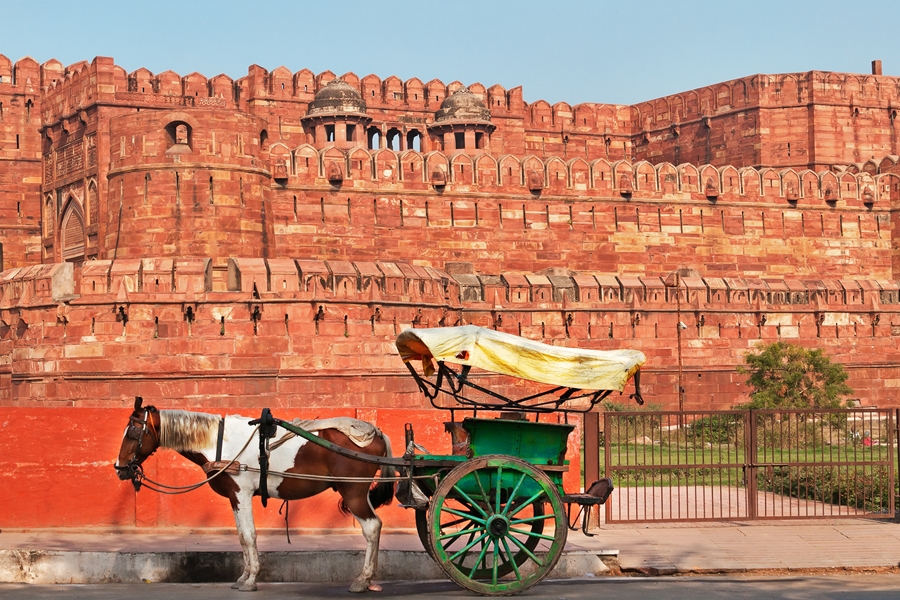 India Agra Fort Uttar Pradesh paard