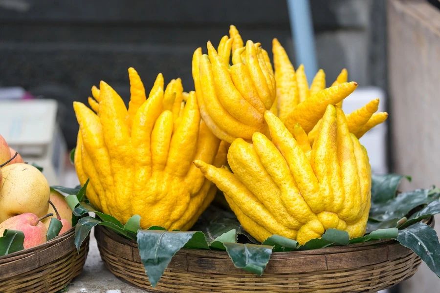 India fruit eten food Buddha's Hand