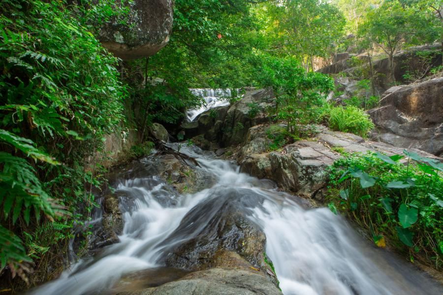 Khao Phra Thaeo National Park, Phuket