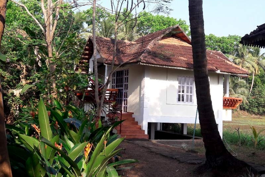 India Alleppey Green Palm Homes 07