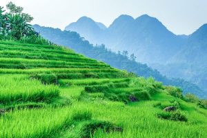 21-daagse Hot Deal Vietnam Highlights & Beach