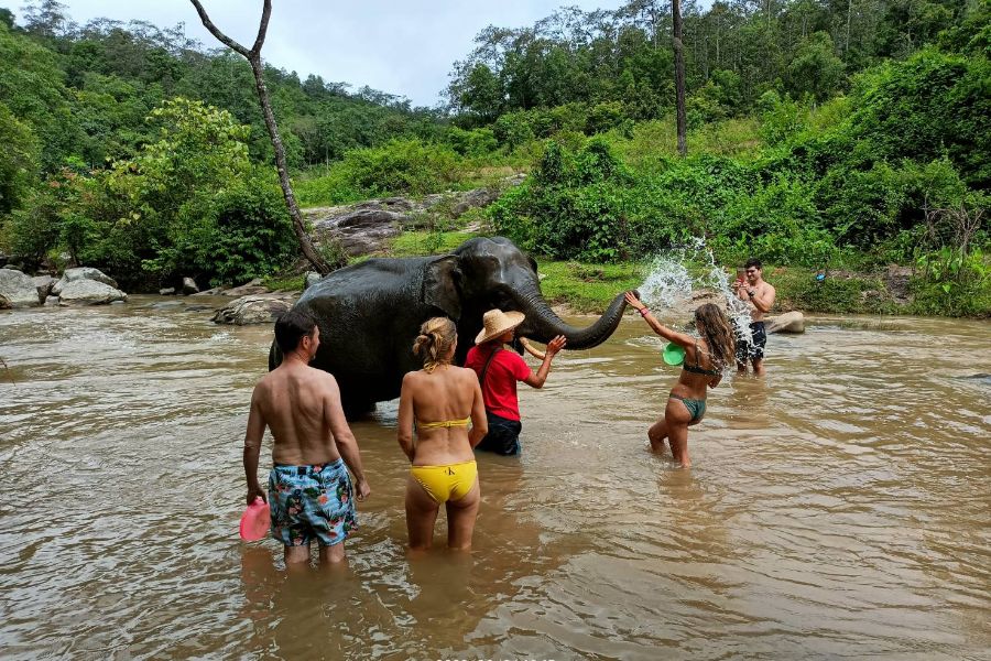 Dag 10: Chiang Mai - Trekking