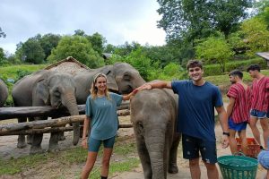 2-Daagse trekking, olifanten & raften in Chiang Mai