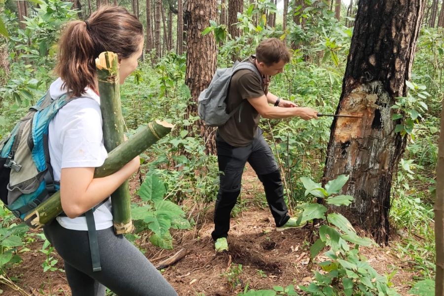 Thailand Chiang Mai trekking 20