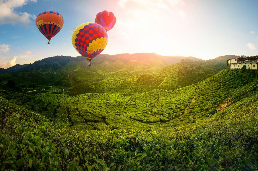 maleisie cameron highlands luchtballon