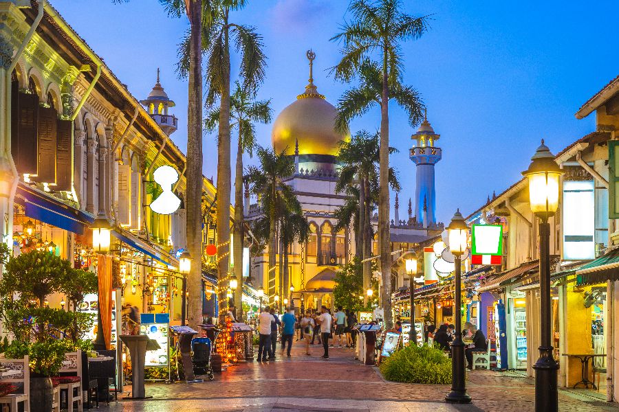 Hoe vraag je een visum voor Singapore aan?