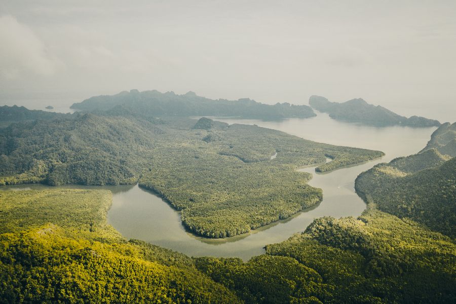 maleisie langkawi island mangrove gebied rivier