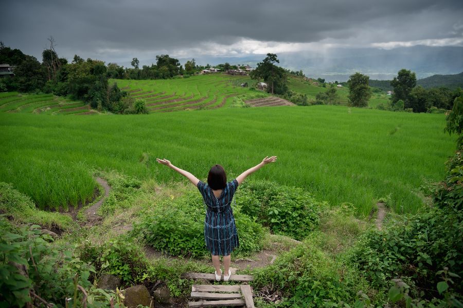 Dag 7: Ayutthaya – Chiang Mai