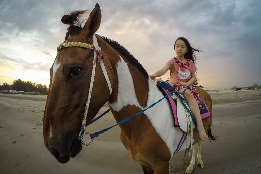 thailand hua hin strand paard familiereis kinderen