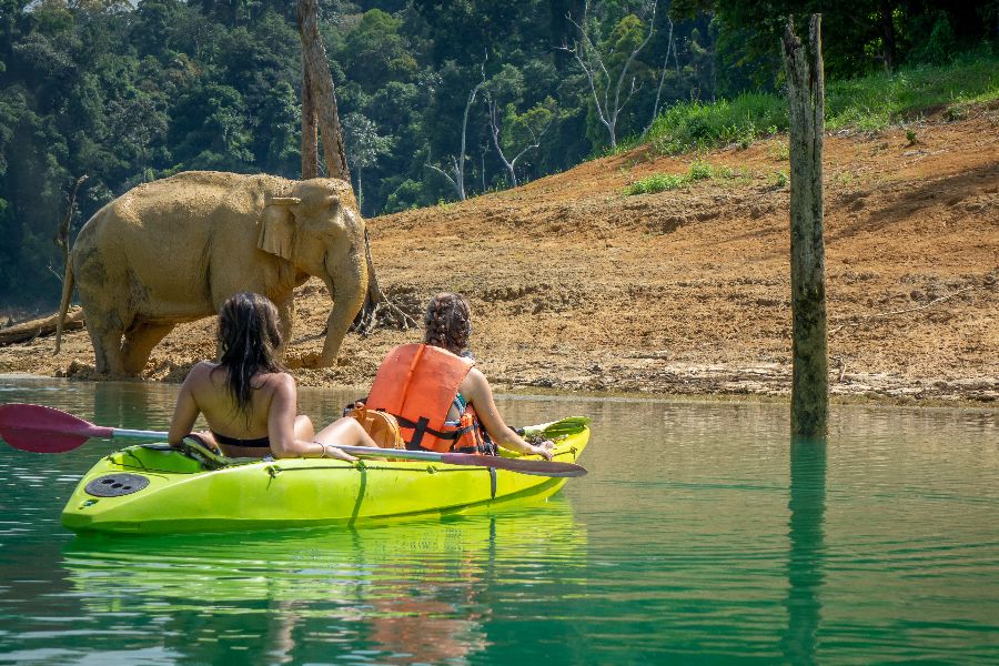 thailand khao sok national park olifant kajakken
