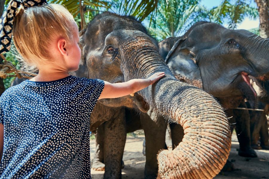 thailand kinderen familiereis meisje olifant