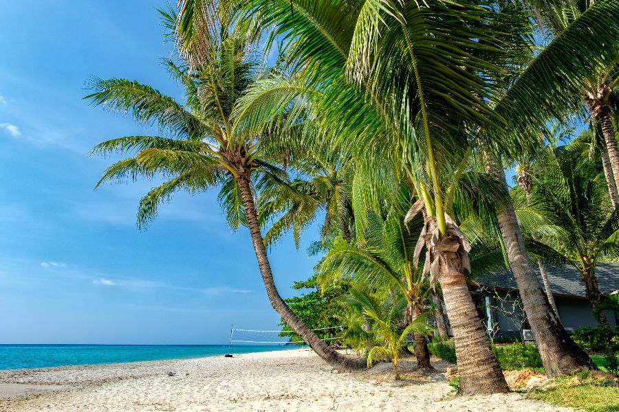 thailand koh chang white sand beach strand palmen
