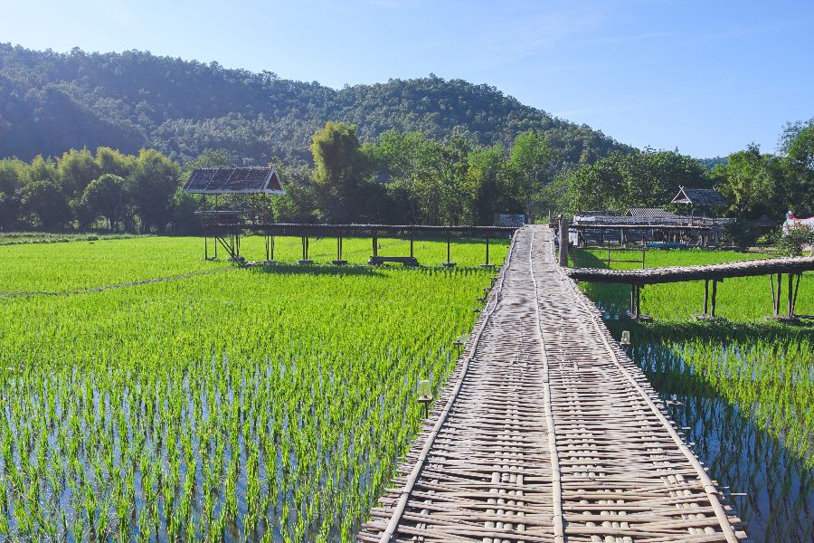 thailand mae hong son rijstvelden houten brug