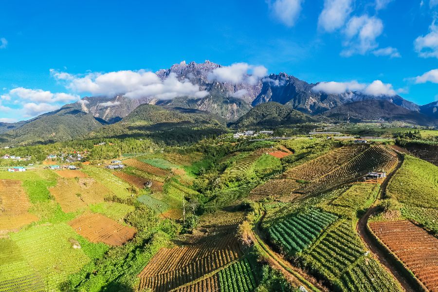 maleisie kundasang mount kinabalu