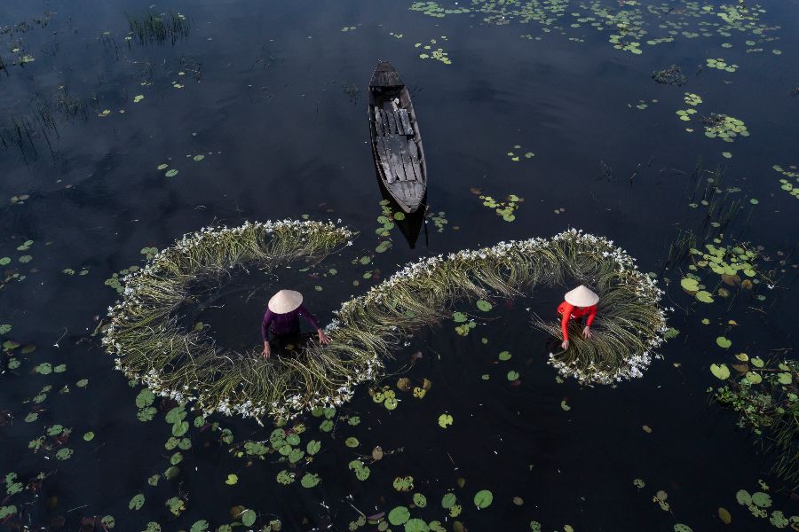 vietnam mekong delta vrouwen waterlelies 1