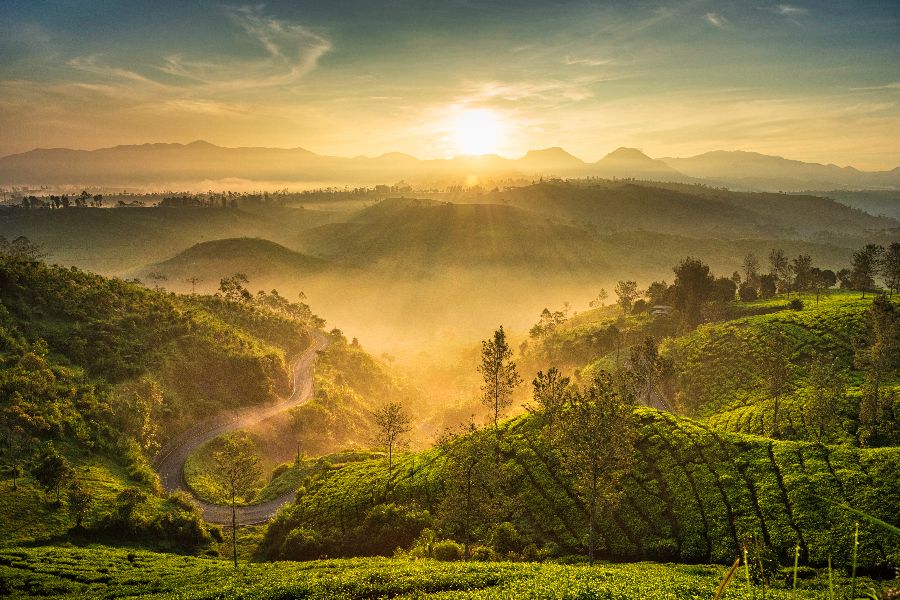 indonesie bandung cukul tea garden zonsopkomst