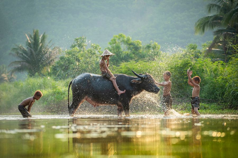 Dag 1: Vertrek naar Vietnam