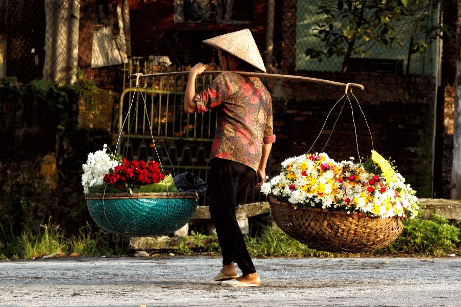 vietnam hanoi bloemenverkoopster