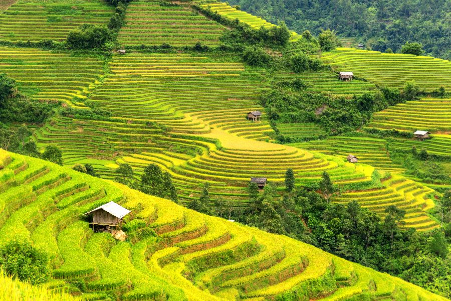 Reisvoorstel voor '18-Daagse rondreis Highlights van Vietnam'