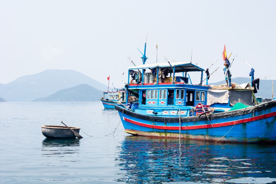 vietnam whale island