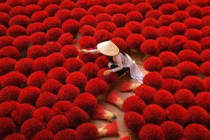 20-daagse rondreis Vietnam Compleet