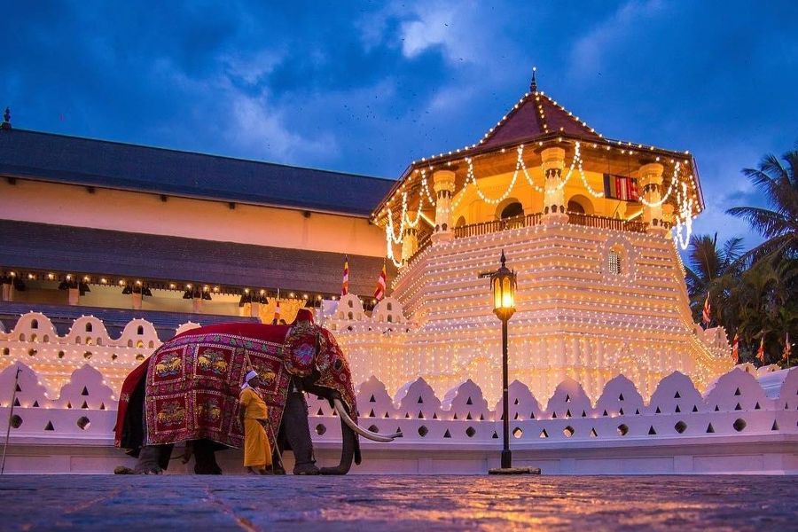 sri lanka kandy tempel van de heilige tand olifant
