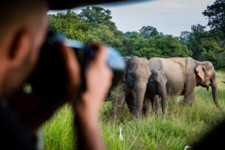 Gerelateerde tour 21-Daagse rondreis Natuur en Wildlife Sri Lanka