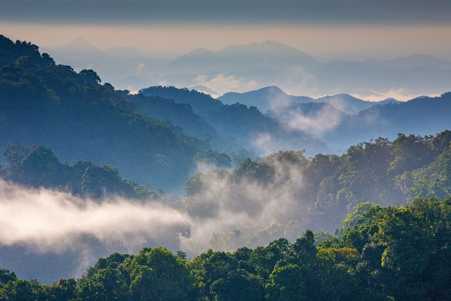 thailand kaeng krachan national park ochtend mist