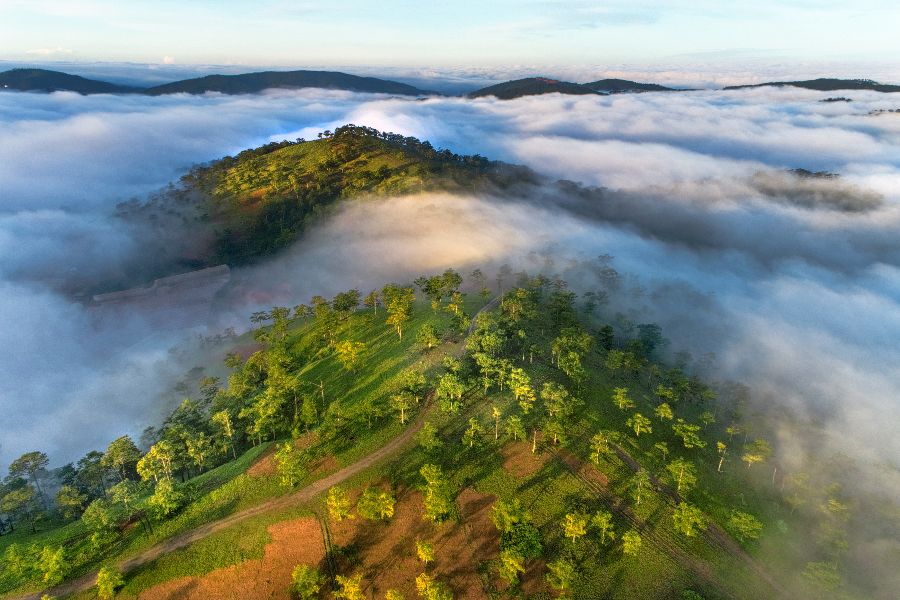 vietnam dalat