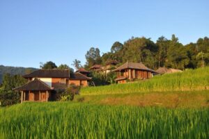 Hotel 'Puri Lumbung Cottages'