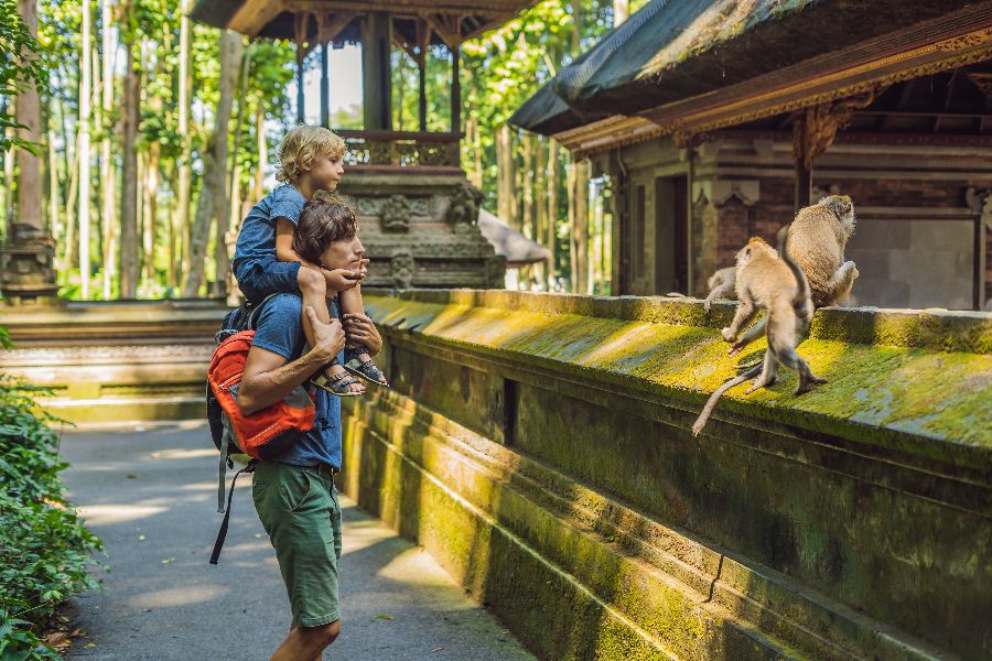 indonesie bali ubud apenbos monkey forest