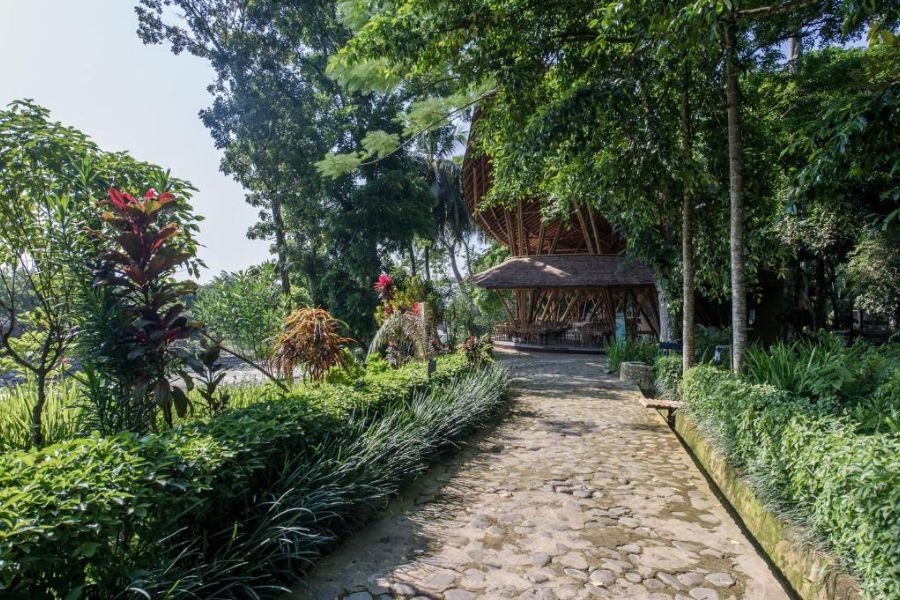 indonesie sumatra bukit lawang ecolodge 485