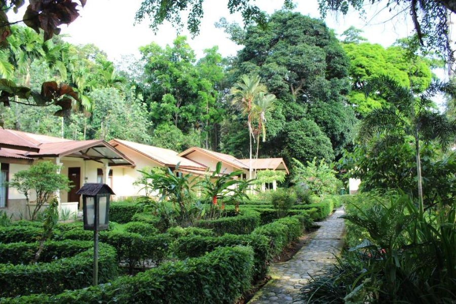 indonesie sumatra bukit lawang ecolodge 486