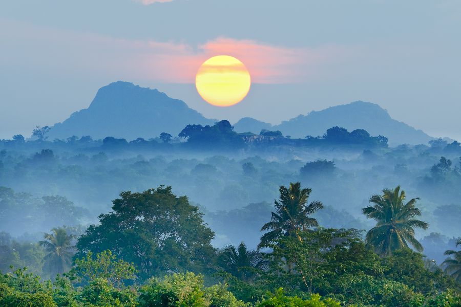 Reisvoorstel voor '18-Daagse rondreis Paradijselijk Sri Lanka'