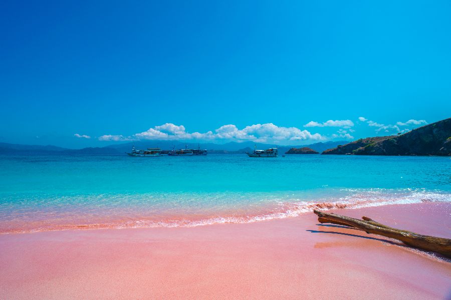indonesie komodo pink beach