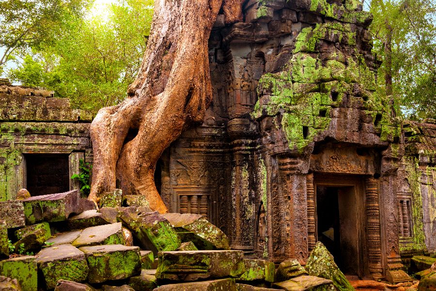cambodja angkor wat ta prohm tempel