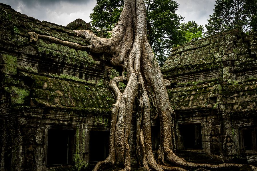 cambodja angkor wat ta prohm tempel