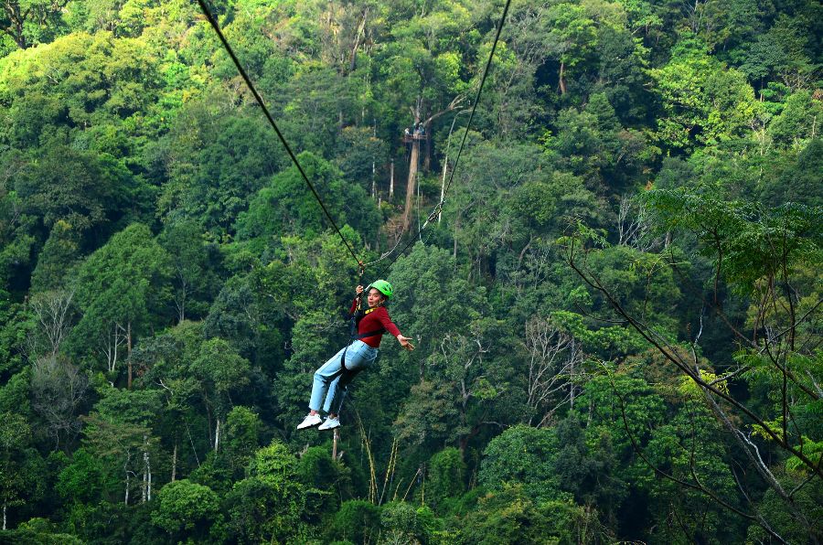 Boek de reis 'Zipline Chiang Mai (36 Platforms, 16 Ziplines)'