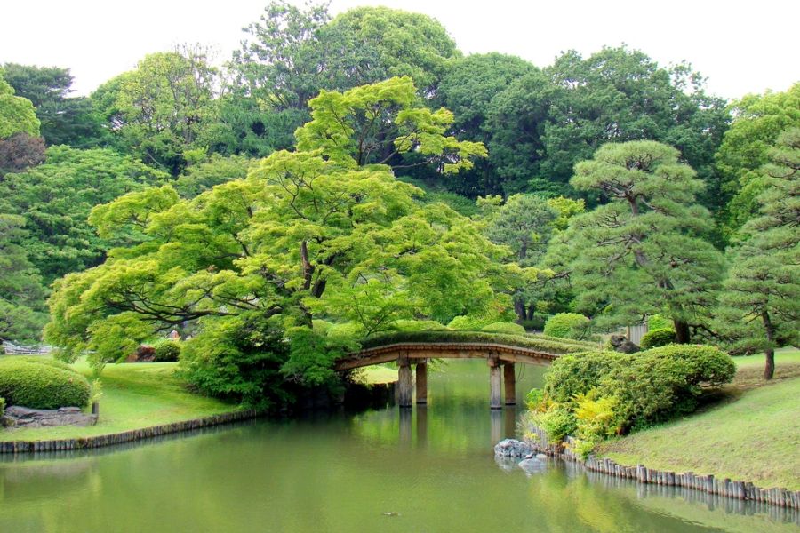 japan tokyo rikugien park