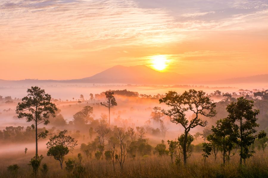 thailand khao yai national park